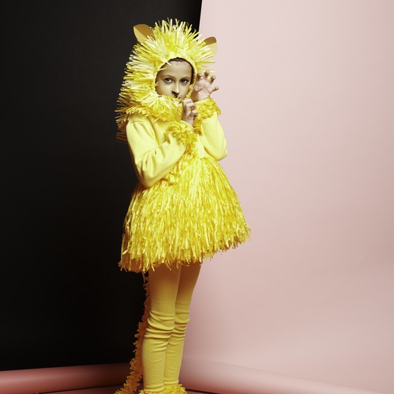 paper-lion-costume paper-lion-costume