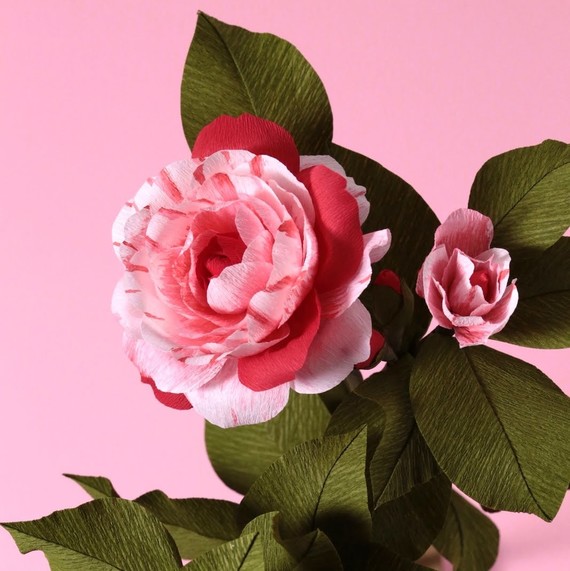 Paper Camellia by Jennifer Tran Paper Camellia by Jennifer Tran