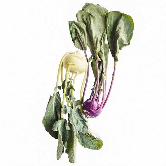 kohlrabi white purple bulbs with large leaves kohlrabi white purple bulbs with large leaves