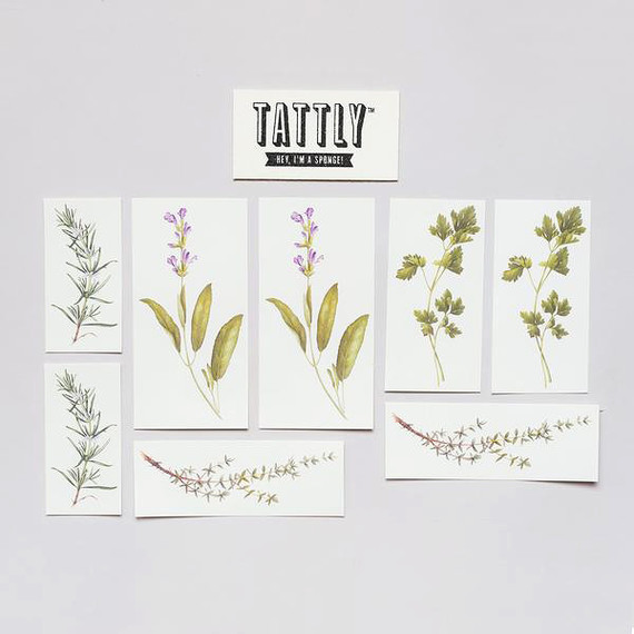 scented herb tattoo variety scented herb tattoo variety