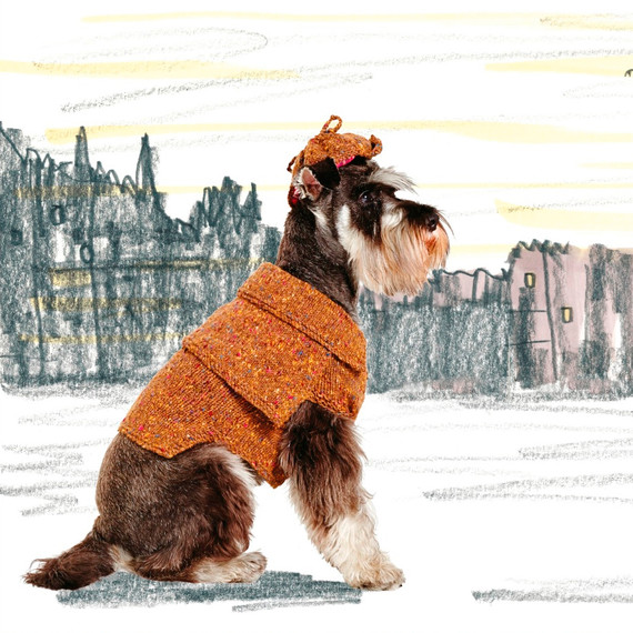wooly-woofers-sherlockbones-0415.jpg