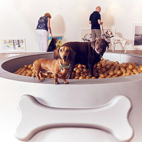 The world's first art exhibit for dogs was created by Dominic Wilcox. The world's first art exhibit for dogs was created by Dominic Wilcox.