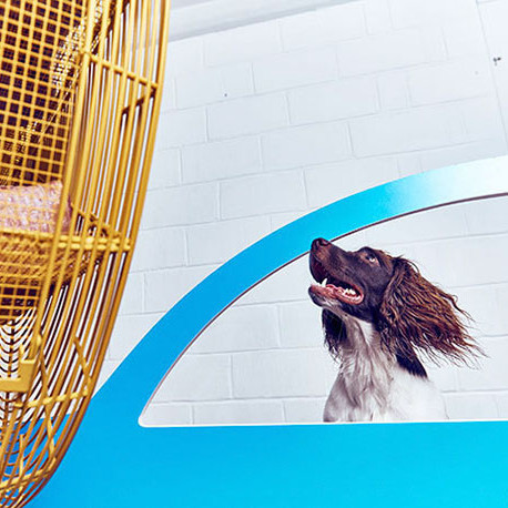 The world's first art exhibit for dogs was created by Dominic Wilcox. The world's first art exhibit for dogs was created by Dominic Wilcox.