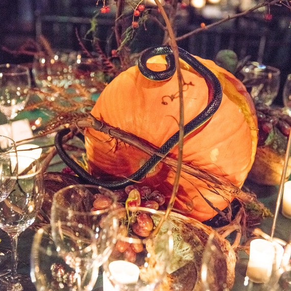 Hulaween gala 2017 Hulaween gala 2017