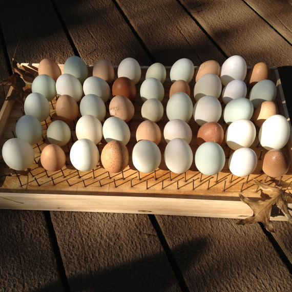 drying-eggs-nakedeggs-easter-post.jpg