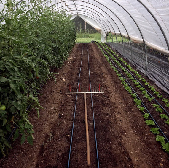 hoop tunnel ten mothers farm hoop tunnel ten mothers farm