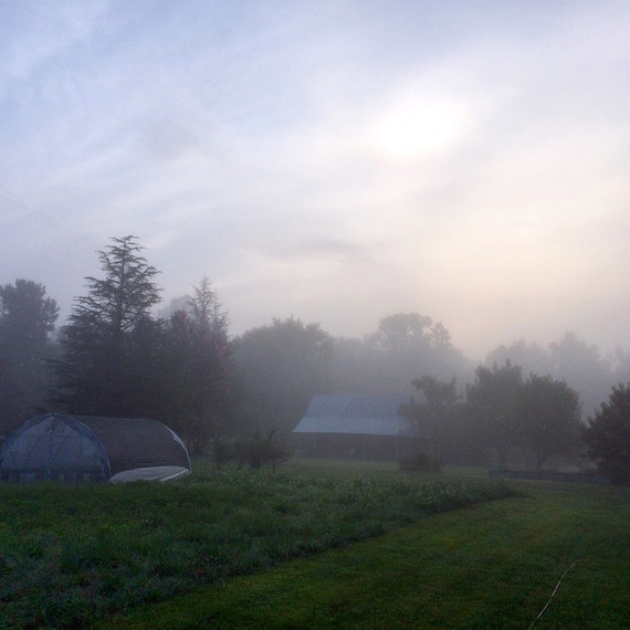 misty skies ten mothers farm misty skies ten mothers farm