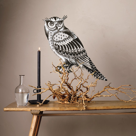 owl-on-branch-003-flame3-md110411.jpg