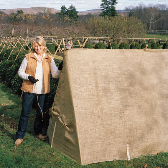 winterizing-the-garden-2-ma105573.jpg