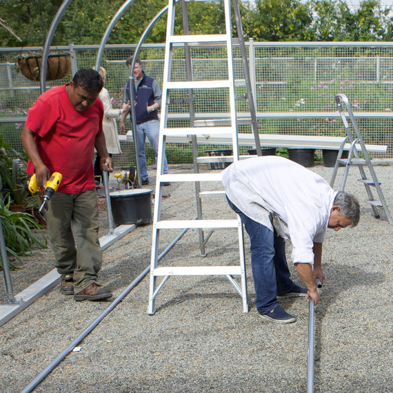 buildingnewgreenhouse-0417-fs-1014.jpg