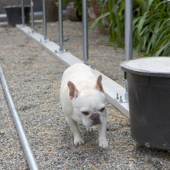 buildingnewgreenhouse-0421-fs-1014.jpg