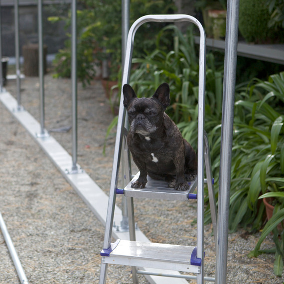 buildingnewgreenhouse-0454-fs-1014.jpg