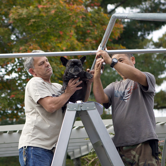 buildingnewgreenhouse-0460-fs-1014.jpg