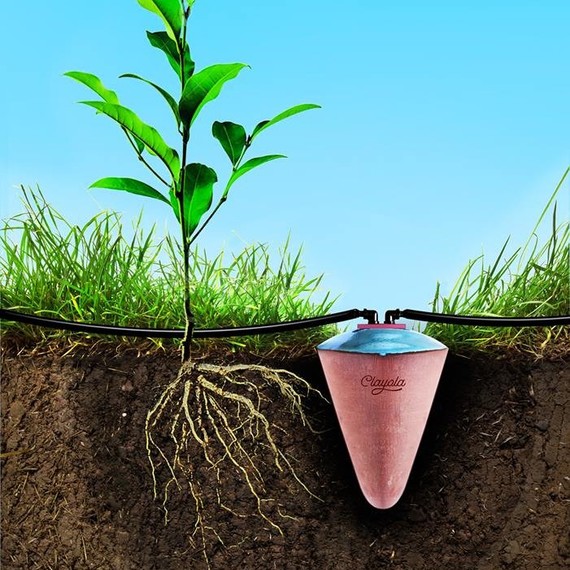clayola plant watering system clayola plant watering system