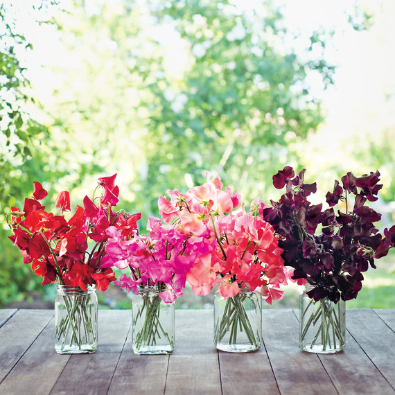 floret-flower-farm-85-edit-d111323.jpg