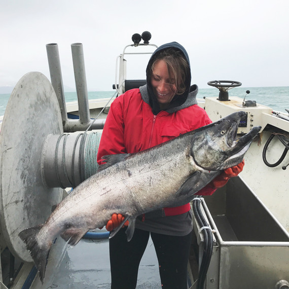 king salmon king salmon