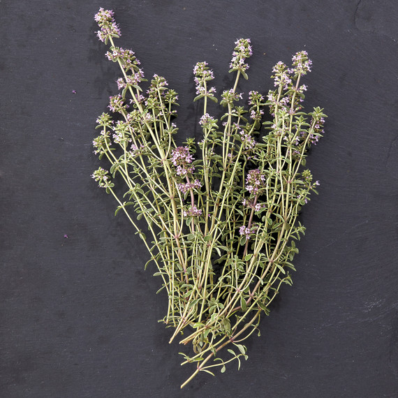 nash-garden-glossary-ld108835-0151.jpg