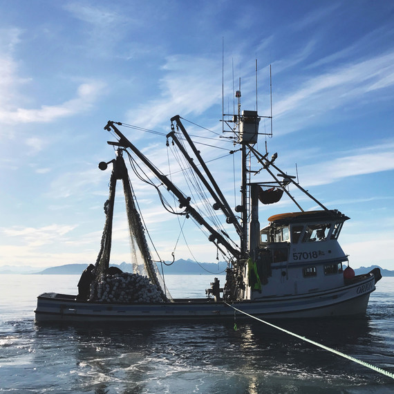 drifters fish boat drifters fish boat