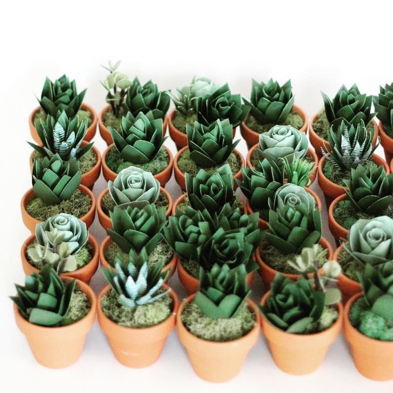 group-of-paper-succulents group-of-paper-succulents