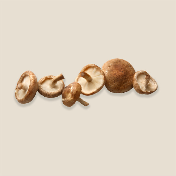 shiitake mushrooms shiitake mushrooms