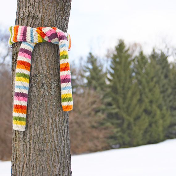 Scarf tied around a tree trunk Scarf tied around a tree trunk