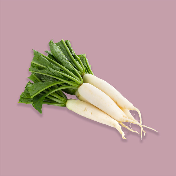 daikon-vegetable-0519_0-silo