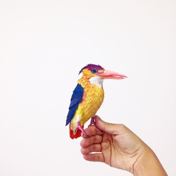 Diana Beltran Herrera paper birds Diana Beltran Herrera paper birds