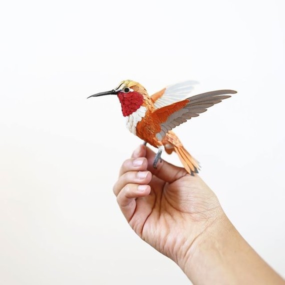 Diana Beltran Herrera paper birds Diana Beltran Herrera paper birds