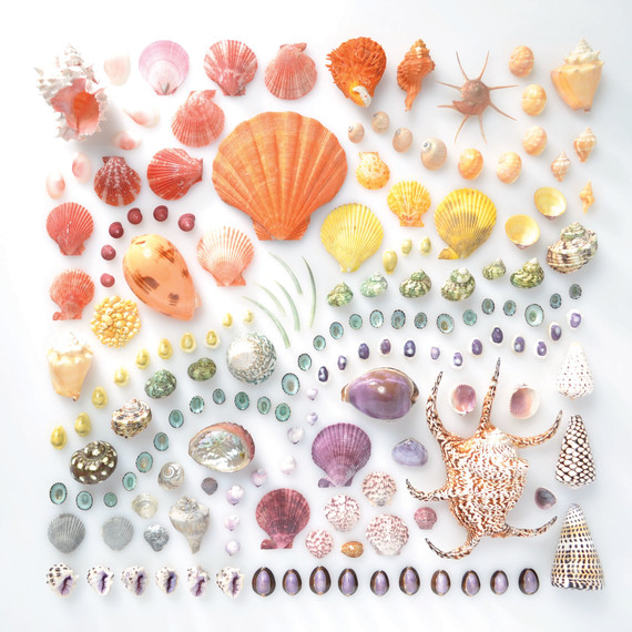 rainbow-colored-seashells rainbow-colored-seashells