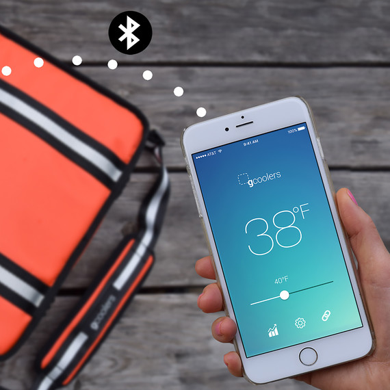 Gcooler bag and phone Gcooler bag and smart phone