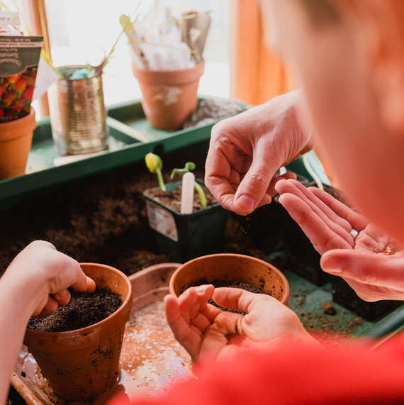 kids planting seeds kids planting seeds