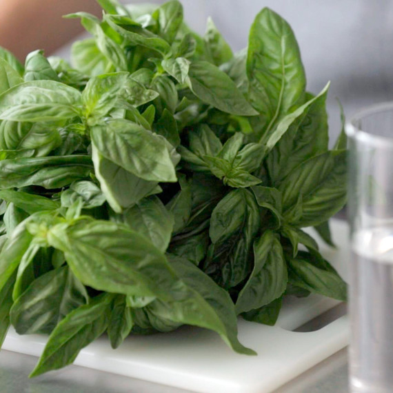 kitchen-conundrums-basil-pesto-0814.jpg