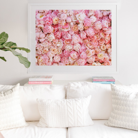 Lucy Cuneo Fine Art Flower series Lucy Cuneo Fine Art Flower series