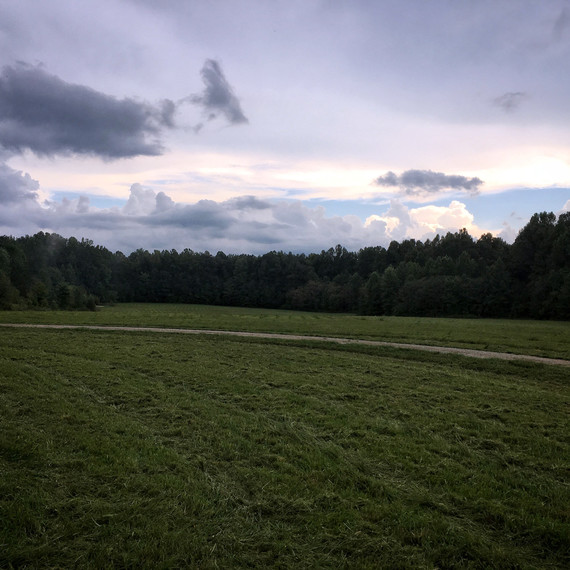 land mowed at dusk land mowed at dusk