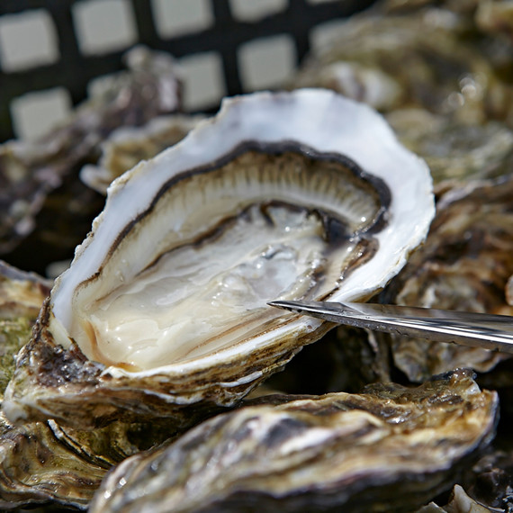 oyster vending machine oyster vending machine