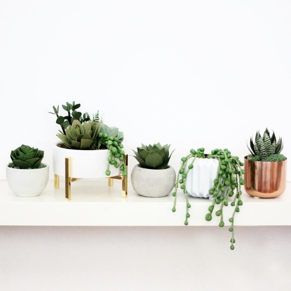 paper-succulents-on-shelf paper-succulents-on-shelf