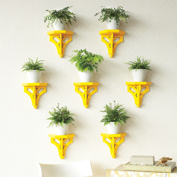 plant-brackets-yellow-0911mld107506.jpg