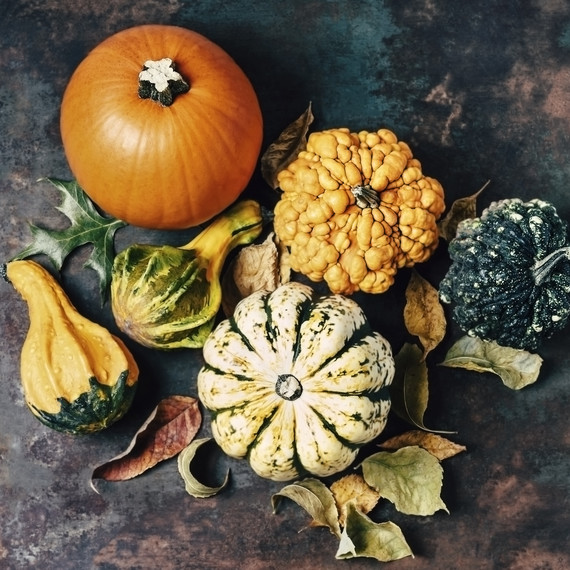 pumpkins and gourds pumpkins and gourds