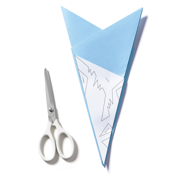 snowflake-step-8-0577-d112502-paper.jpg