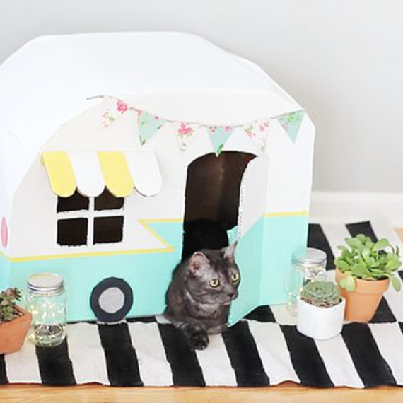 DIY cat camper DIY cat camper