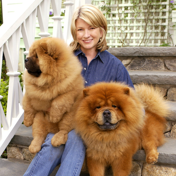 martha with chow chows martha with chow chows