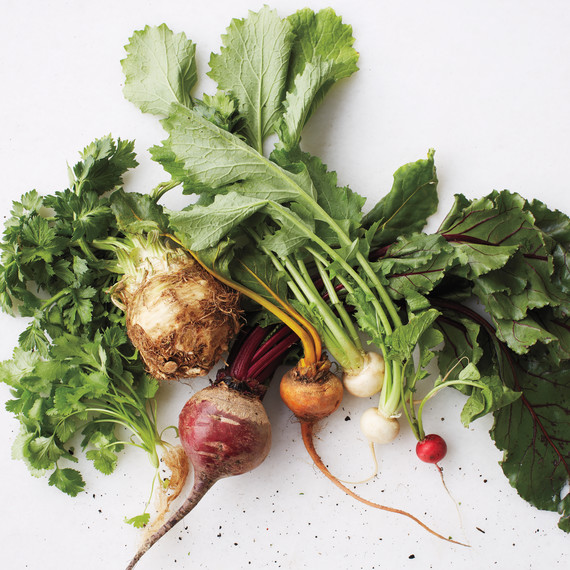 msl-kitchen-vegetables-0079-md110059.jpg