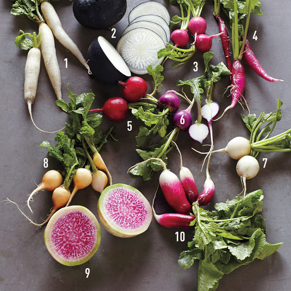 numbered-radishes-mld110362-021-0315.jpg