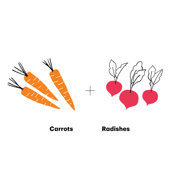 veggie garden carrots radishes veggie garden carrots radishes