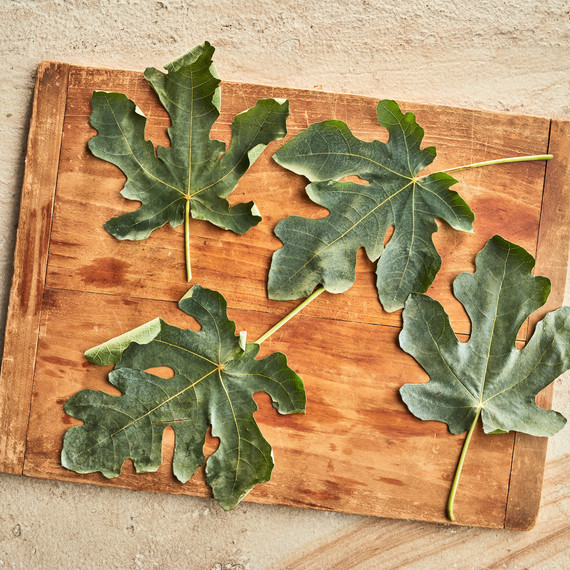 serving board with leaves serving board with leaves