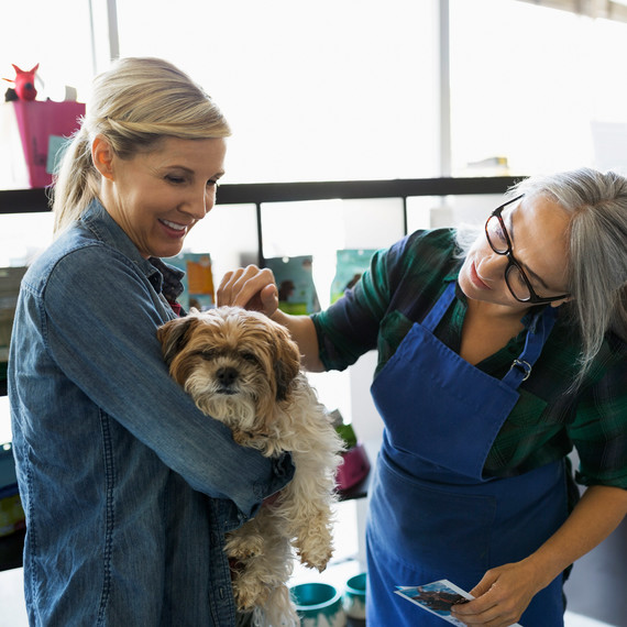 pet owner dog women talking boarding center pet owner dog women talking boarding center
