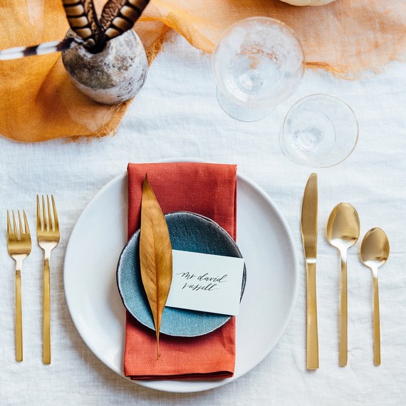 rust--aqua-thanksgiving-color-palette_1115.jpg (skyword:202245)