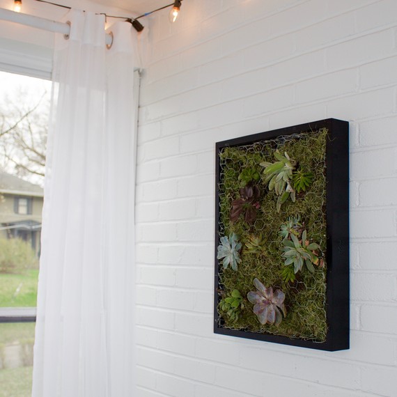 succulent wall planter succulent wall planter