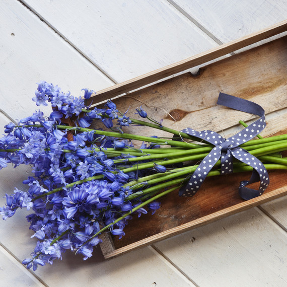 how to upgrade delivery blooms how to upgrade delivery blooms