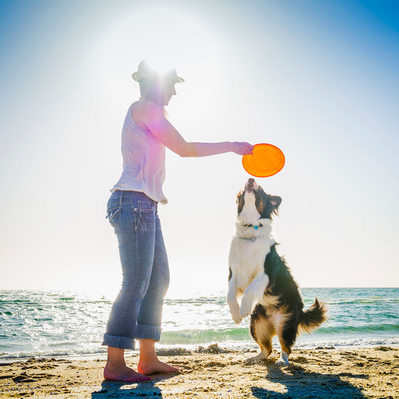 woman dog frisbee beach sand sea